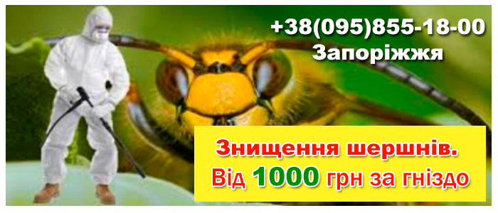 Знищення шершнів у Запоріжжі